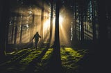 From Shadows to Light