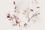 Holiday Berries and Branches