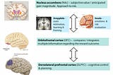 Employing Machine Learning In Digital Marketing To Mirror The Human Brain’s Decision Engine