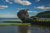 On Preempting Collapse