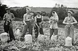 How Woman Farmers Disrupted Gender Norms during World War 2