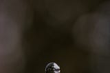 Droplet