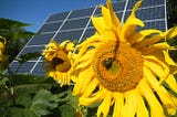 Why is Solar Energy Good for the Environment