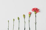 Why Delusion and Audacity Are Your Best Growth Strategies