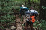 Two Popular Hiking Trails in Connecticut
