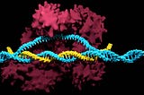 3.0. The gene editing tool that can also be applied to COVID-19 diagnostics