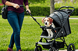Dog-Stroller-For-Large-Dogs-1
