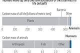 Thinking Citizen Blog — Arthropods — The Big Picture (50% Of Animal Biomass) Plus Some Details…