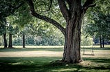 The Banyan