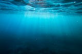 This is the Water We Swim In