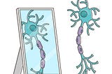 Your Brain on Social Networks