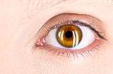 A close up of a brown eye representing sight