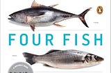 four-fish-151373-1