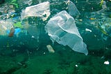 Leading the Change to End the Plastic Menace