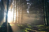 Finding Inspiration in Daily Moments