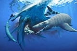 Xenodens, a weird little shark-toothed mosasaur from Morocco