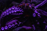 If I Was An Octopus