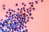 Picture of lots of purple butterflies on a pink background.