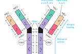 Using Tobacco plants to grow antibodies for better breastmilk replication