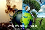 PROJECT DESTRUCTION