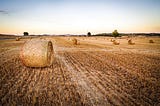 Climate Change and Its Impacts on Agriculture and Food Production