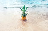 Taking a Sex Therapist to Hedonism II, Negril, Jamaica