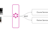 Evolving the Graph