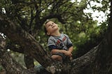 A little boy sitting in the ranches of a large tree, his gaze upward.