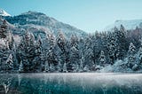 Optimizing Data Transfer in Batched AI/ML Inference Workloads