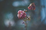 I Will Love Her Even After Her Mind is Gone