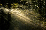 Radical Duality: All You Ever See Is Light, All You Ever Hear Is Sound