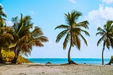 A beach with palm trees