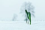 Life Portfolios: A Quiet Archive of Becoming
