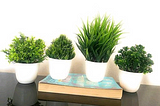 Transform Your Living Room with Table Lamps, Artificial Plants Online and Designer Wall Clocks — A…