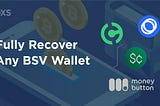 Fully Recover Any BSV Wallet