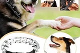 prong-collar-for-dogs-no-pull-collar-for-dogs-pinch-collar-for-dogs-dog-training-collar-dog-walking--1