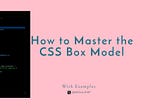 How to Master the CSS Box Model for Perfect Website Layouts (+ Codepen examples)