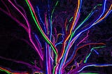 A colourful tree