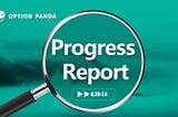 OptionPanda Progress Report ( 2021.6.20–2021.7.4 )