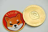 shibainu, token, shiba coin, shiba token, iamisarkhan