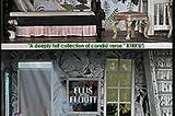 Breaking into Publishing: Insights from Ellis Elliot