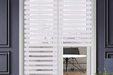 seeye-zebra-blinds-for-windows-french-door-blinds-roller-dual-shades-light-control-window-treatments-1