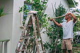 Home Development | 11 Best Tips in Hiring Painters — Property List Hub