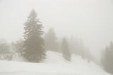 Pine trees on a hill clouded by a snow storm