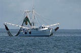 Tragedy of the Commons: Shrimp Trawling — North Carolina Wildlife Federation