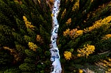 A stream of data and some decision trees