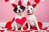Dog-Valentines-1
