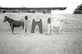 A black and white photograph of two horses standing in front of a fence and facing away from each other. The horse on the left is colored black, and the one on the right is colored white. They are pulling on a pair of trousers hanging between them, with two men standing next to each of them in the foreground, pointing in opposite directions. There is a long horizontal building with a roof a few feet in the background, at a higher elevation than the horses.