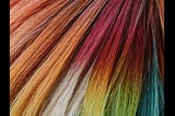 Dog-Hair-Dye-1