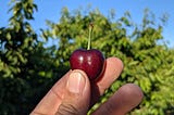 Cherry Picking for the Sweetest of Cherries